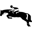 logo Reitsport-manski.de